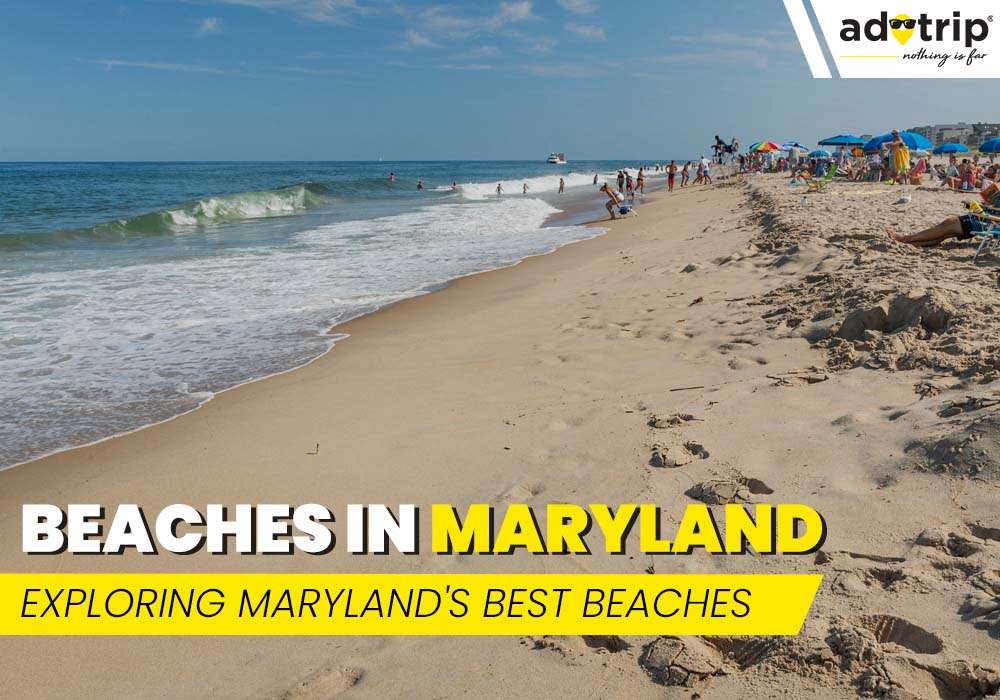 15 Best Beaches In Maryland